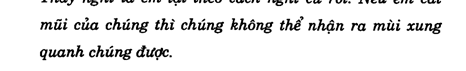 Hoc Tieng Anh Giao Tiep