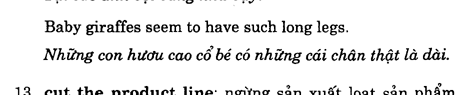 Hoc Tieng Anh Xuat Nhap Khau