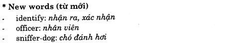 Hoc Tieng Anh Du Lich